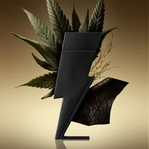 Carolina Herrera Bad Boy Le Parfum EDP naslovna