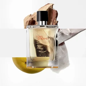 Hermes Terre D'Hermes Eau De Toilette MAN naslovna