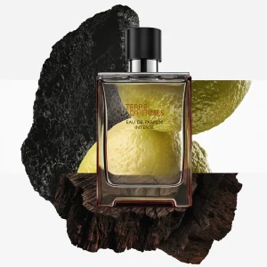 Hermes Terre D'Hermes Parfum Intense EDP naslovna